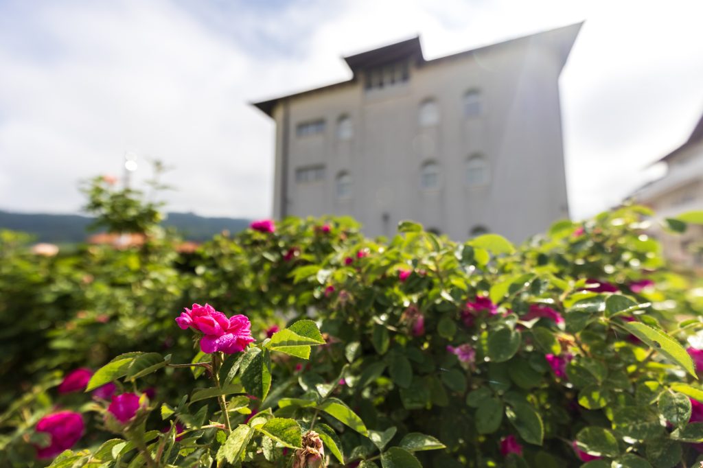 TekijaVisoko07_ARD_130524