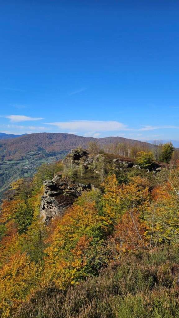 WhatsApp Slika 2024-10-23 u 11.53.09_61358b77