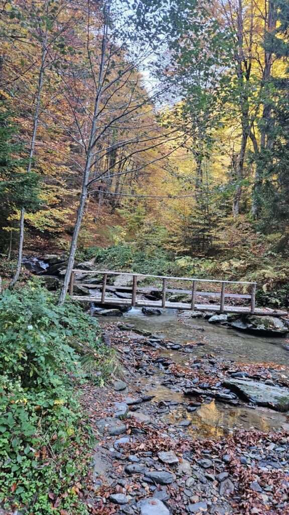 WhatsApp Slika 2024-10-23 u 11.53.09_7fba97a9