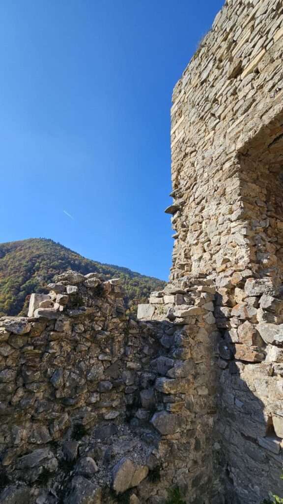 WhatsApp Slika 2024-10-23 u 11.53.09_89ae36e3