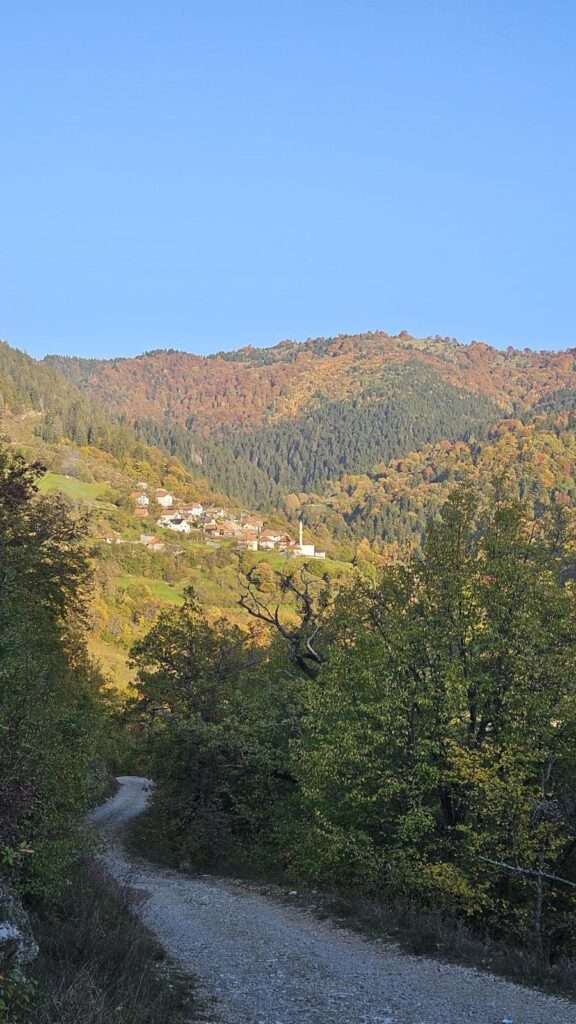 WhatsApp Slika 2024-10-23 u 11.53.09_97d01e64