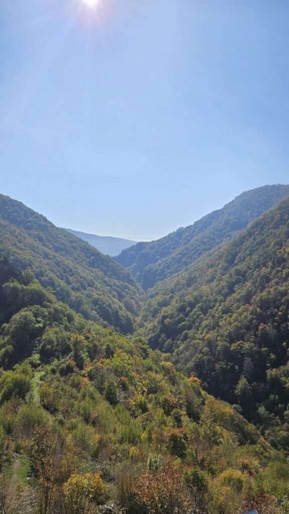 WhatsApp Slika 2024-10-23 u 11.53.09_b8ee7c8f